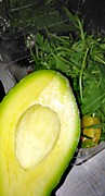 Салат из авокадо с рукколой.